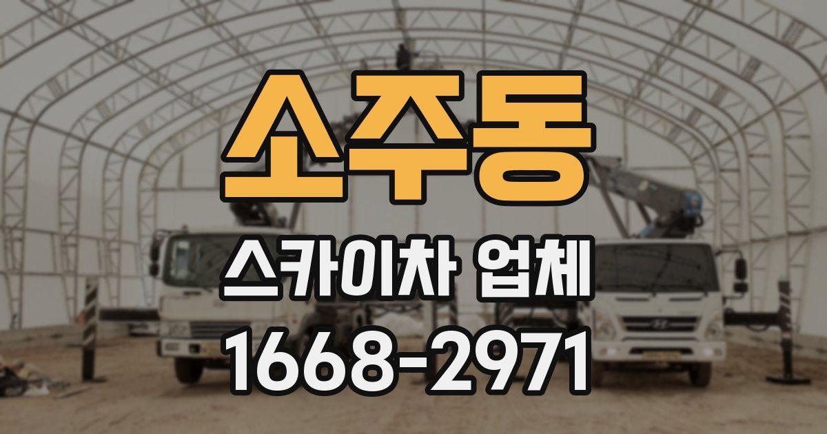소주동 스카이차 업체