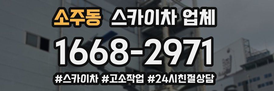 소주동 스카이차 업체