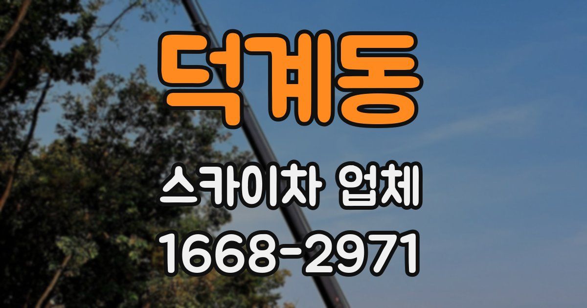 덕계동 스카이차 업체