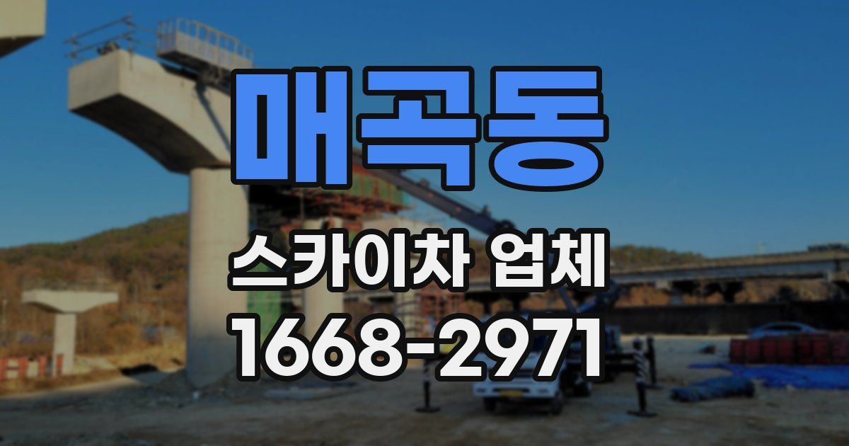 매곡동 스카이차 업체