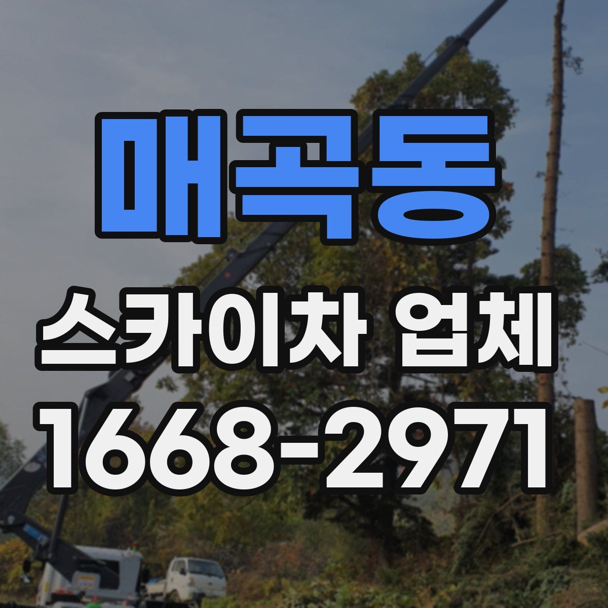 매곡동 스카이차 업체
