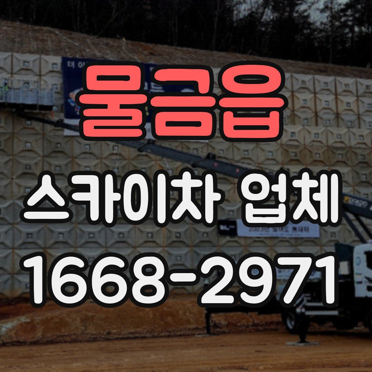 물금읍 스카이차 업체