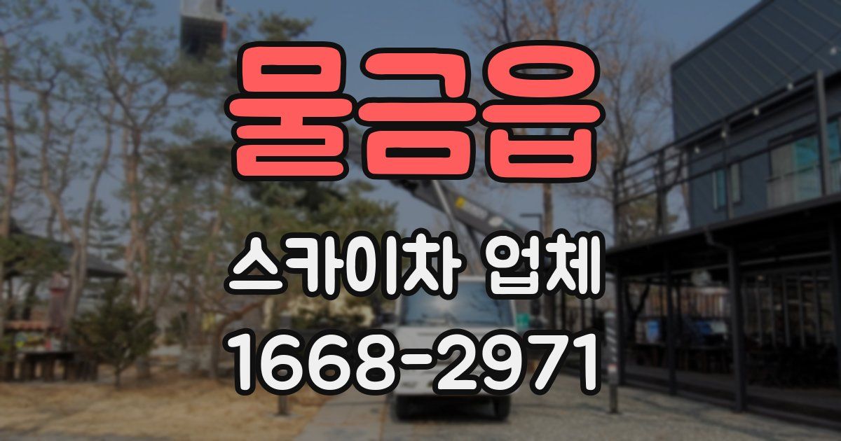 물금읍 스카이차 업체
