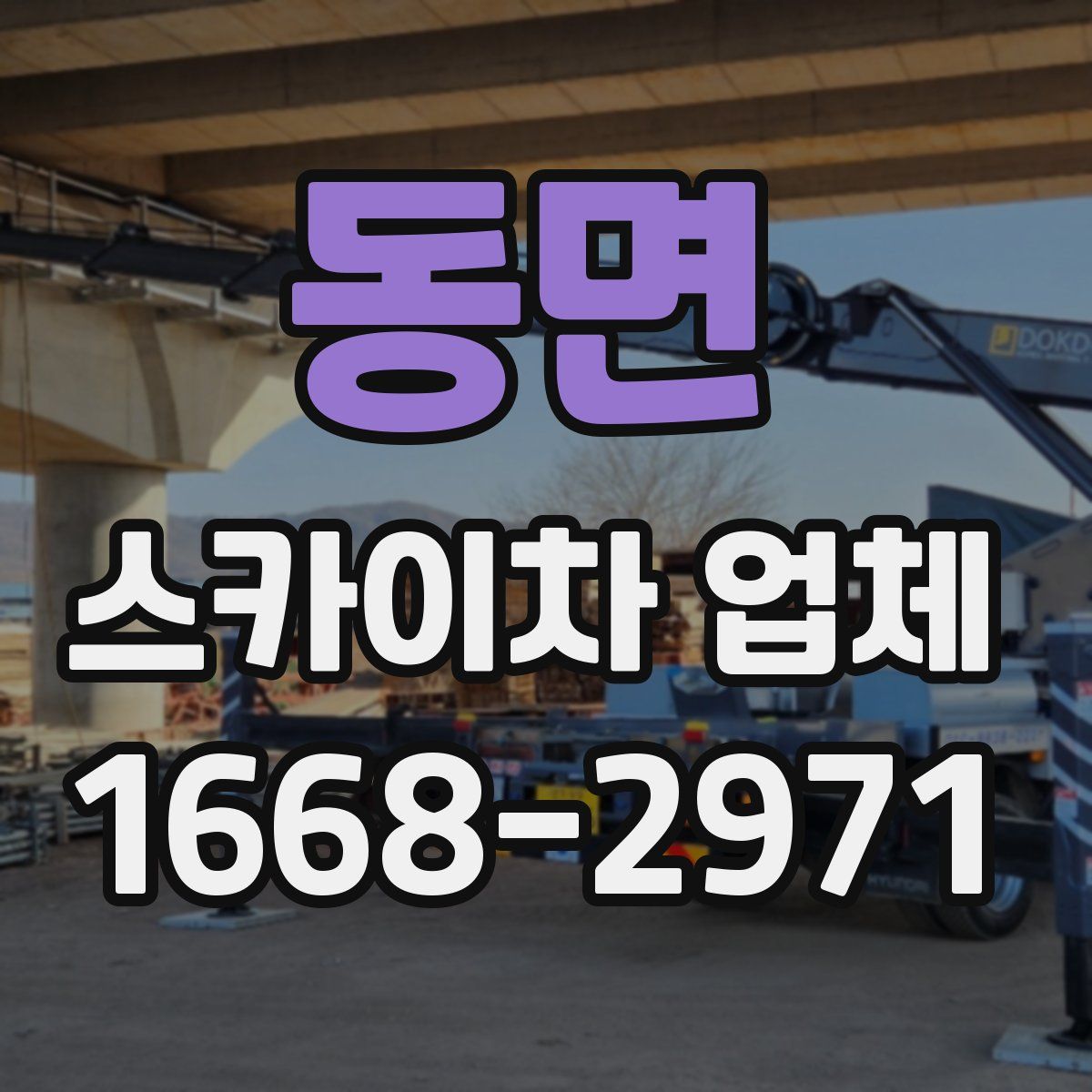 동면 스카이차 업체
