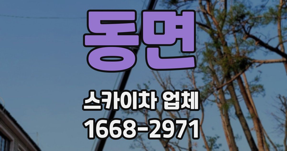 동면 스카이차 업체