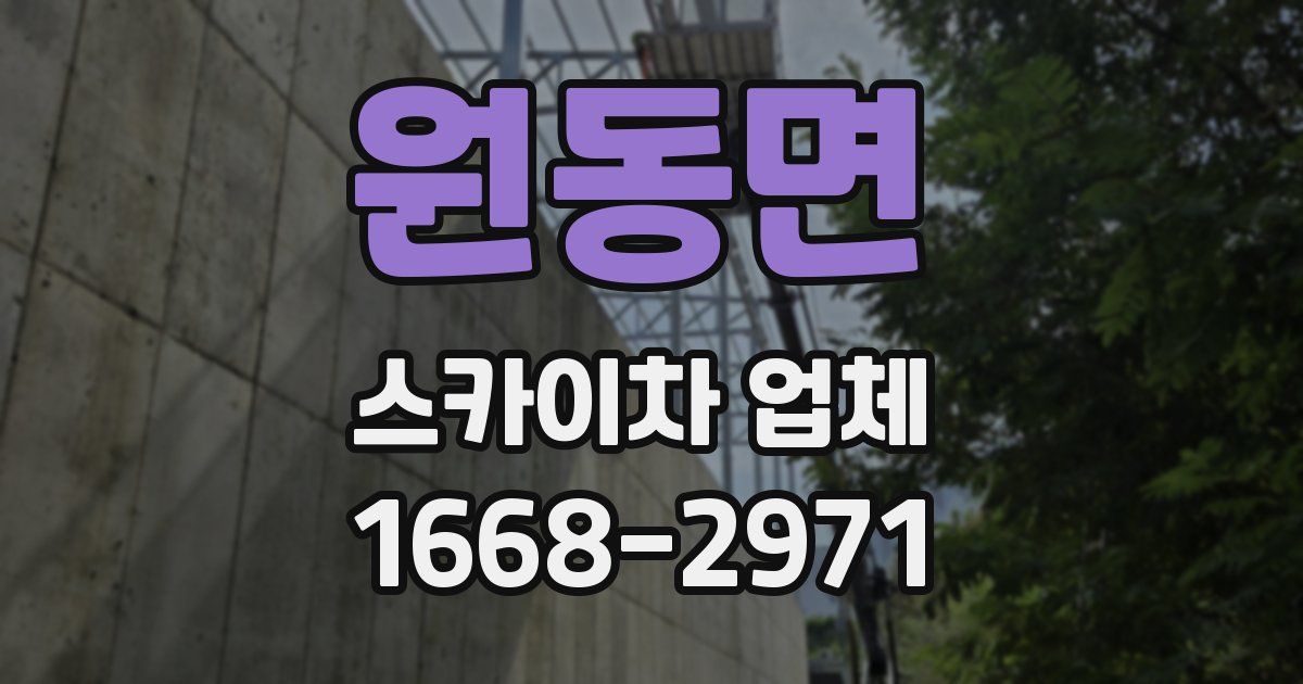 원동면 스카이차 업체