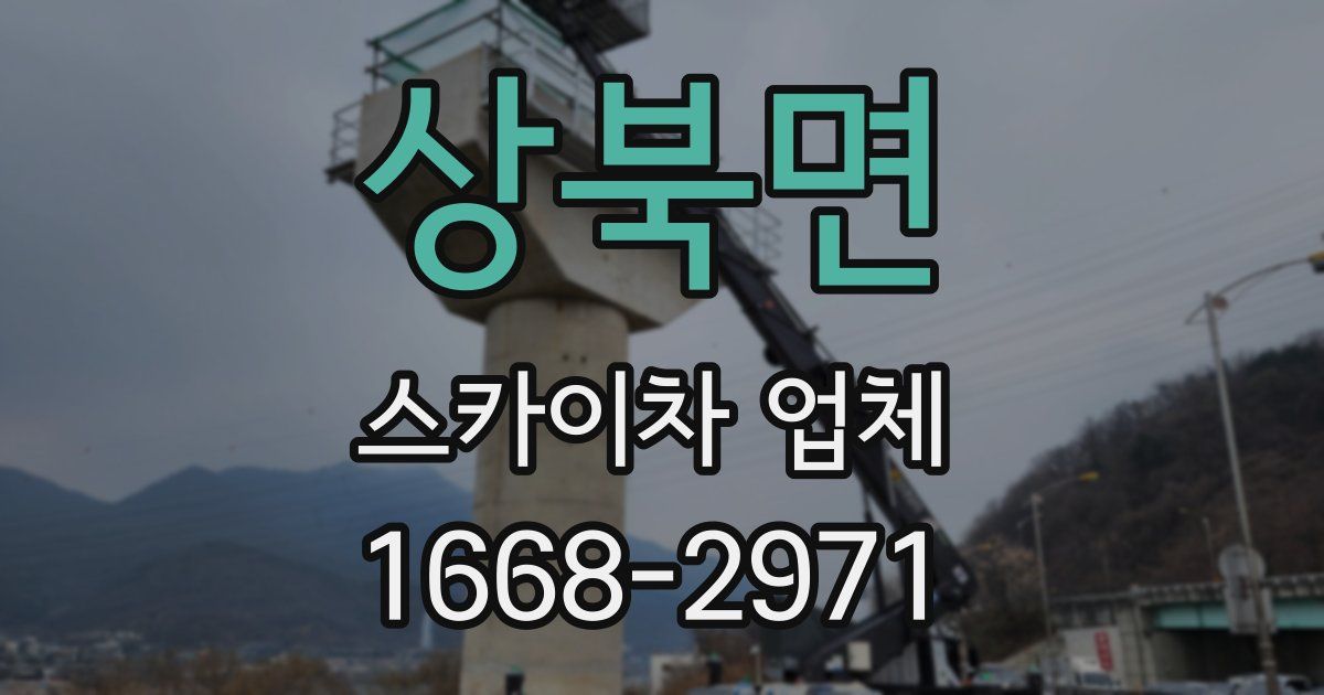 상북면 스카이차 업체