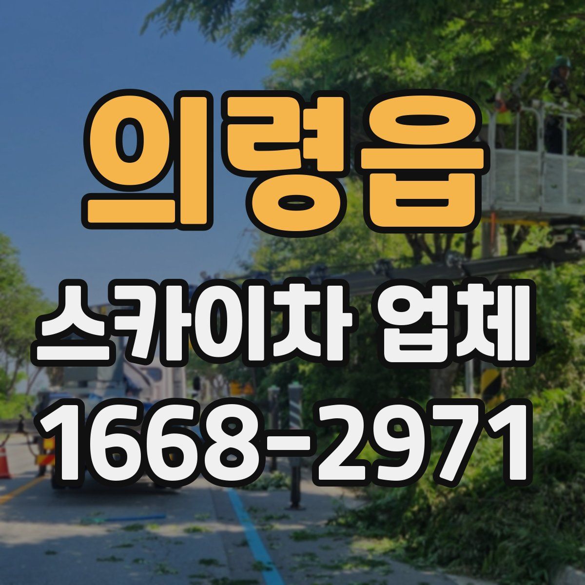 의령읍 스카이차 업체