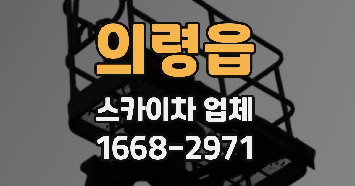 의령읍 스카이차 업체