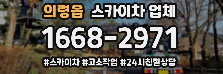 의령읍 스카이차 업체