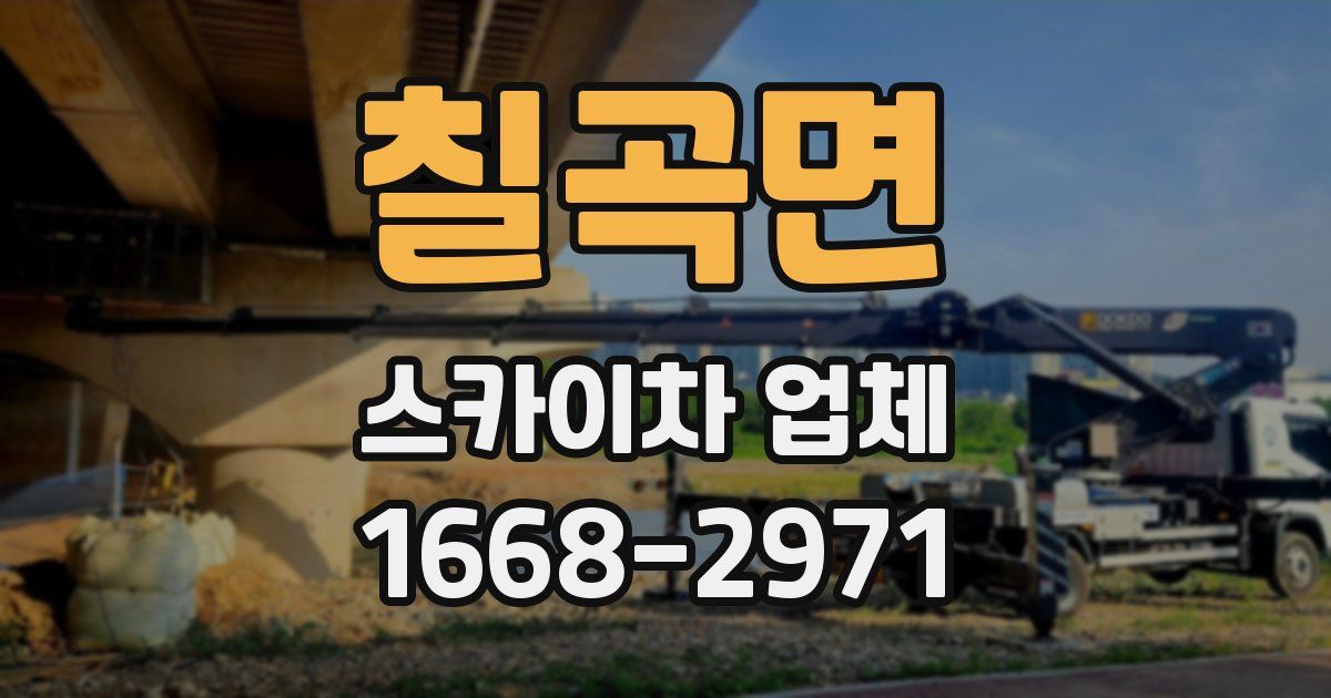 칠곡면 스카이차 업체