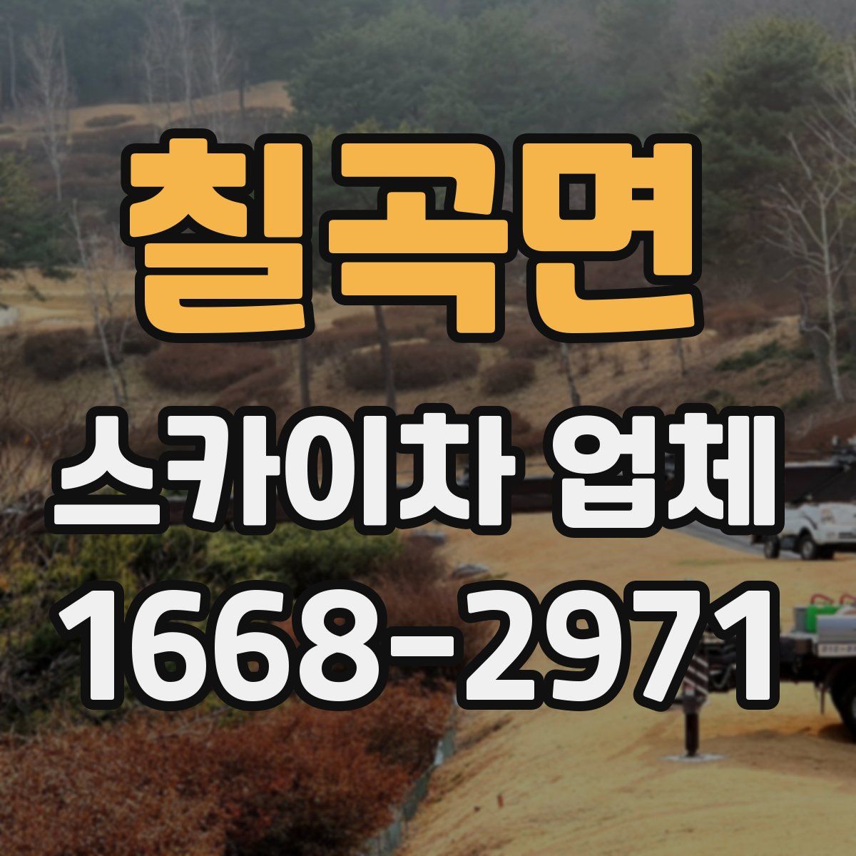 칠곡면 스카이차 업체