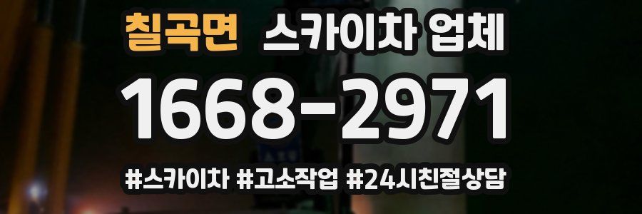 칠곡면 스카이차 업체