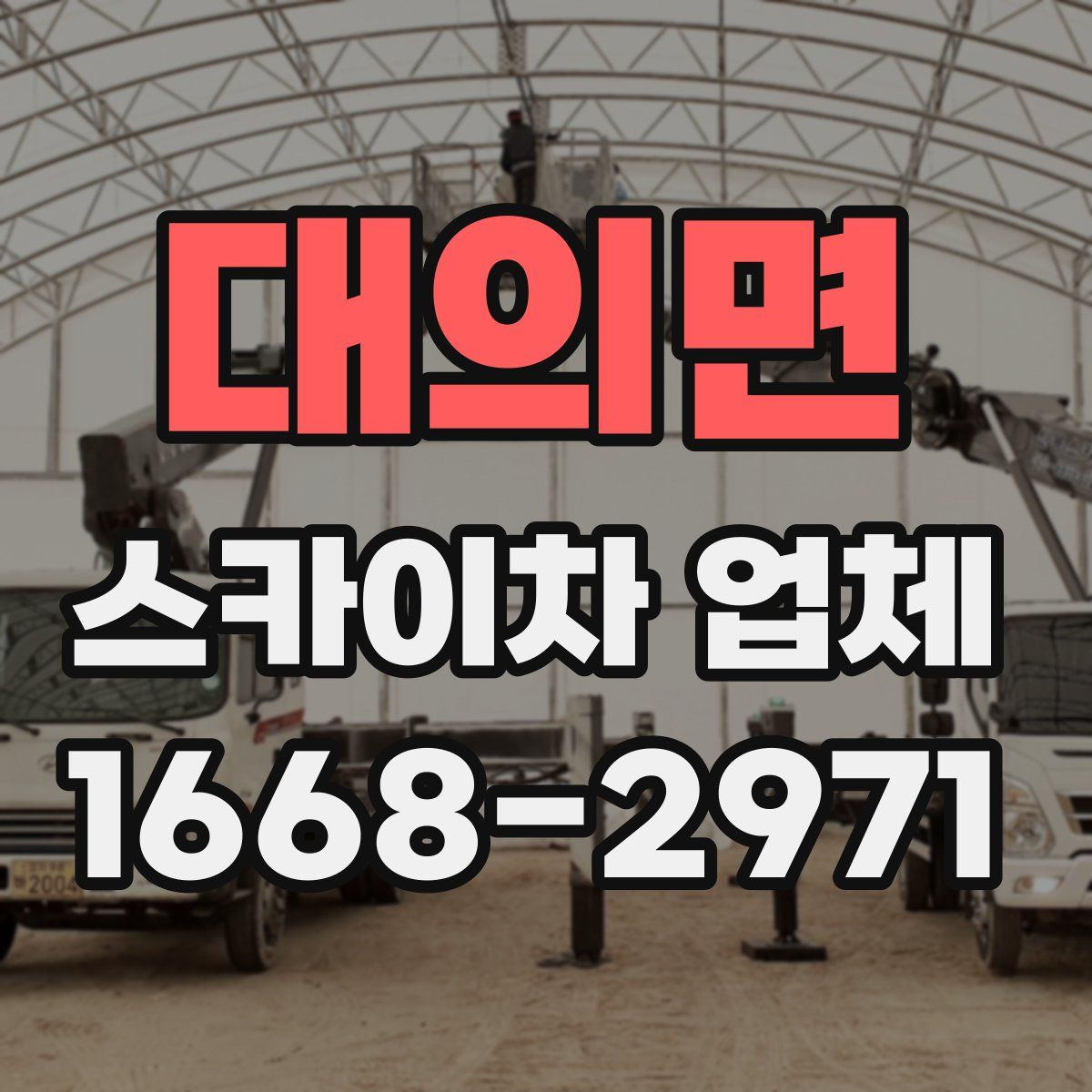 대의면 스카이차 업체