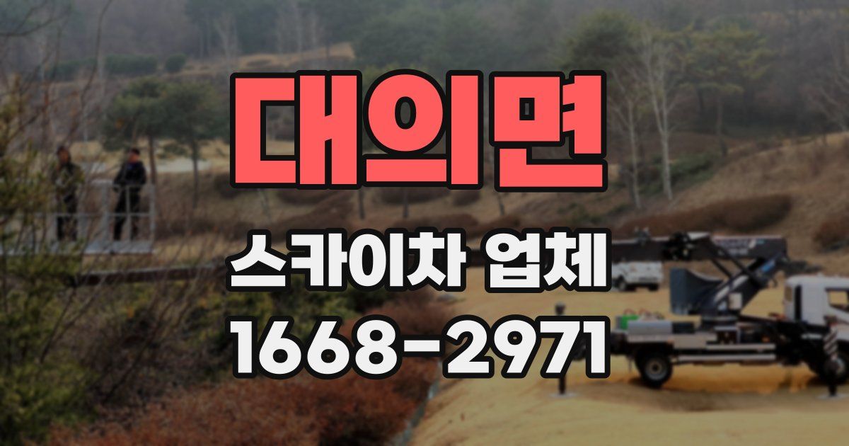 대의면 스카이차 업체