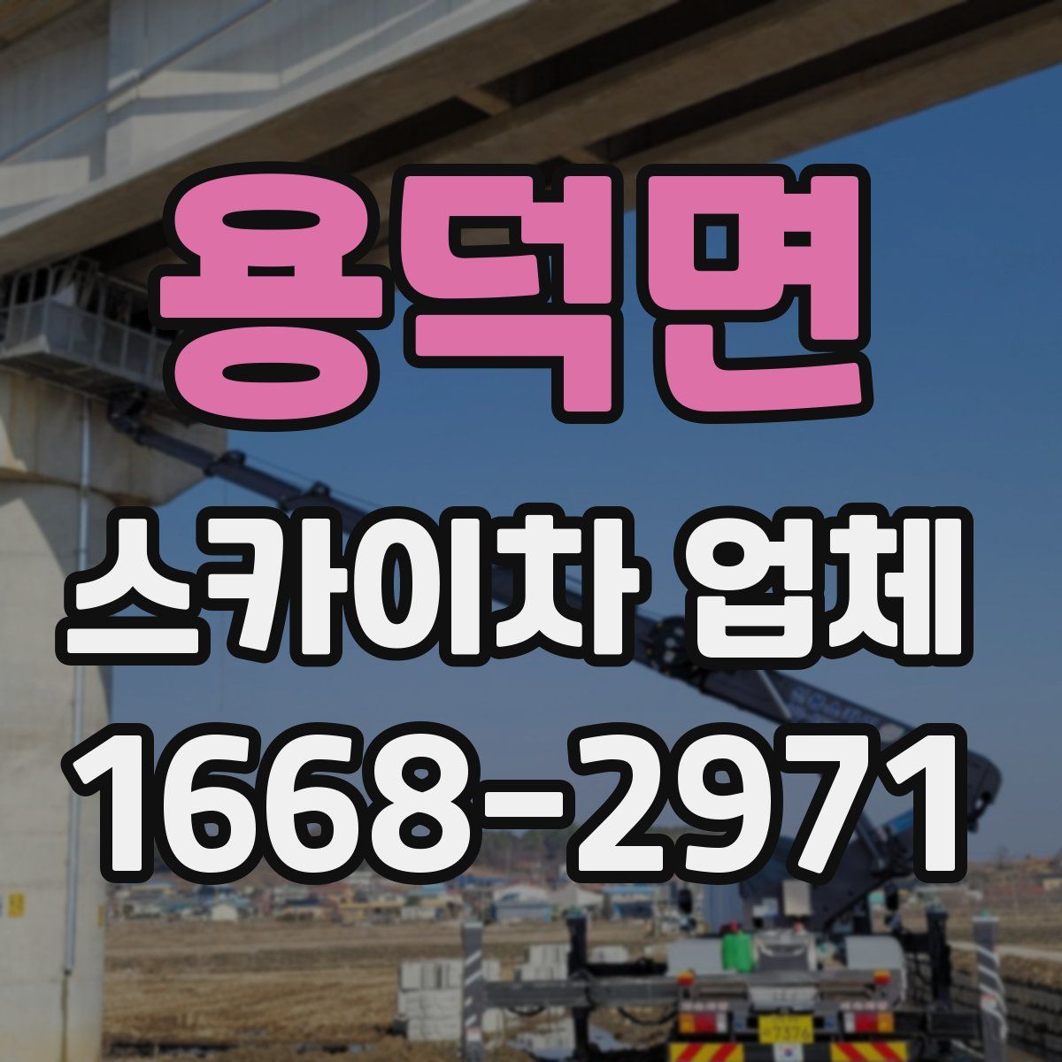 용덕면 스카이차 업체