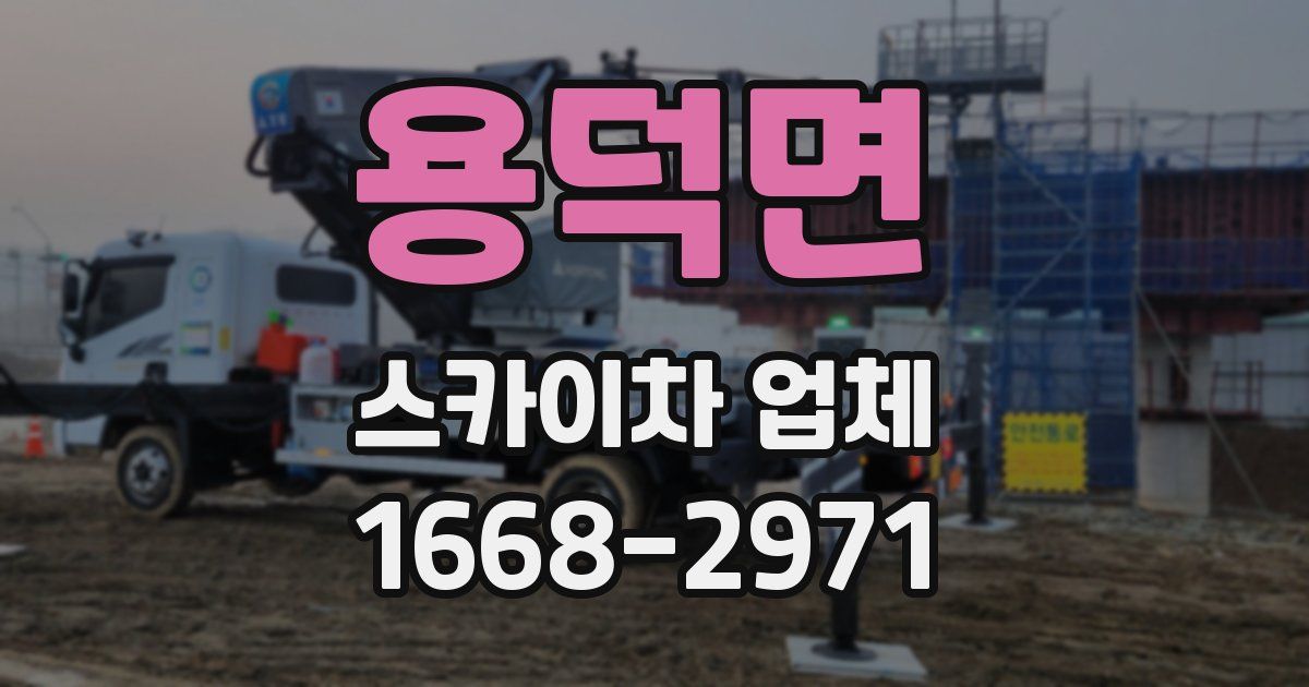 용덕면 스카이차 업체