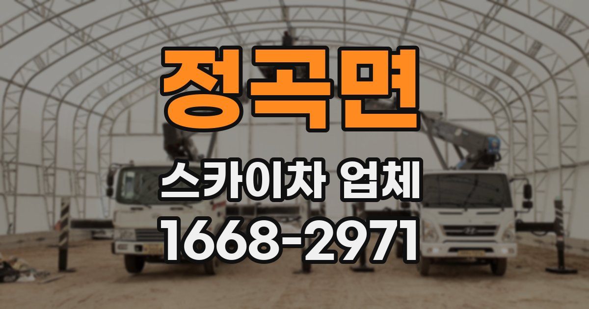정곡면 스카이차 업체