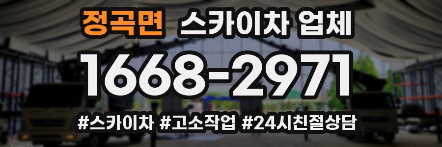 정곡면 스카이차 업체