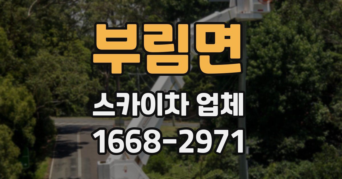 부림면 스카이차 업체