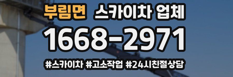부림면 스카이차 업체