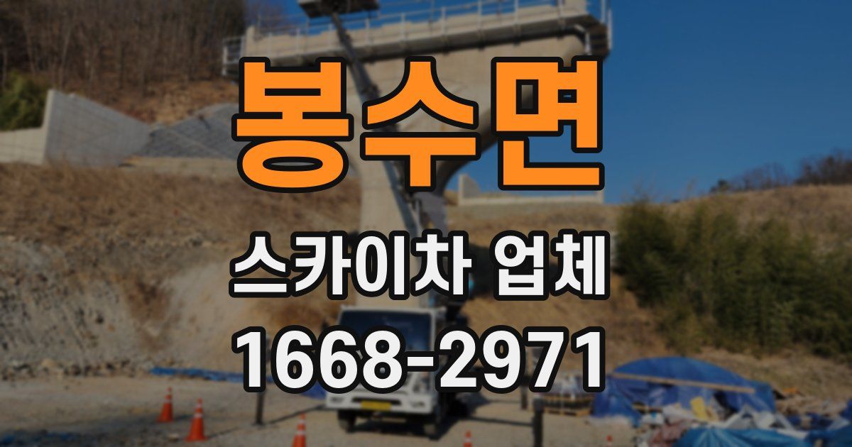 봉수면 스카이차 업체