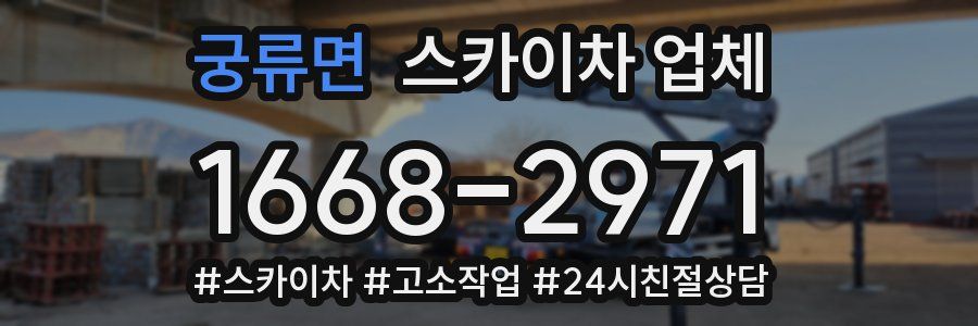 궁류면 스카이차 업체