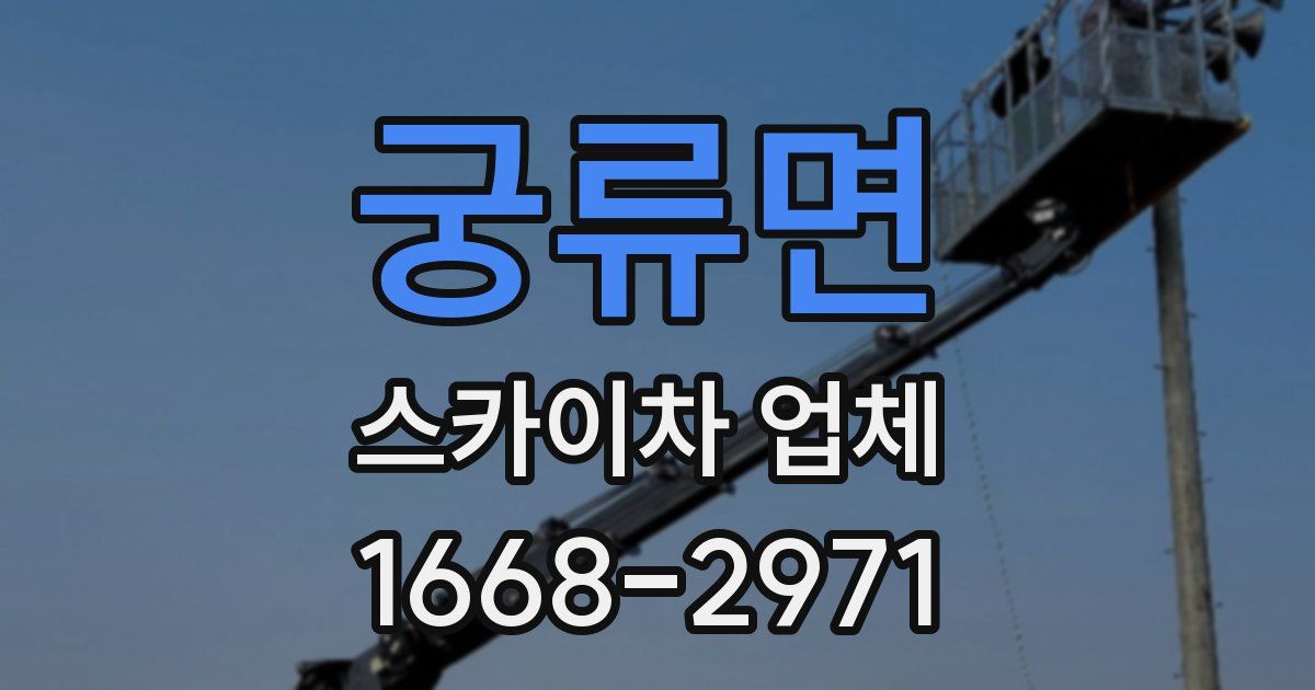 궁류면 스카이차 업체