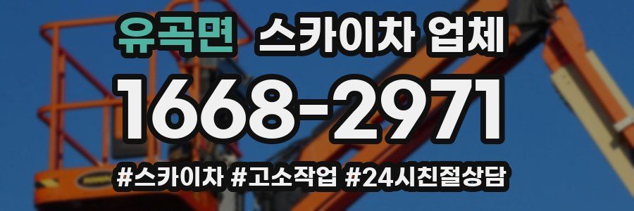 유곡면 스카이차 업체
