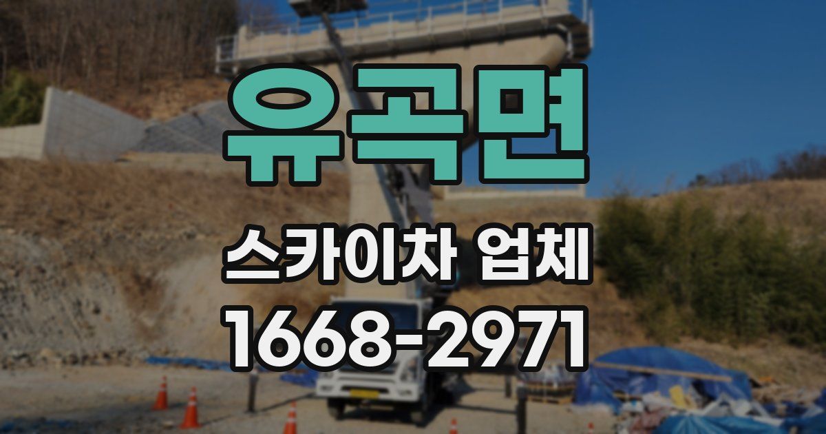 유곡면 스카이차 업체