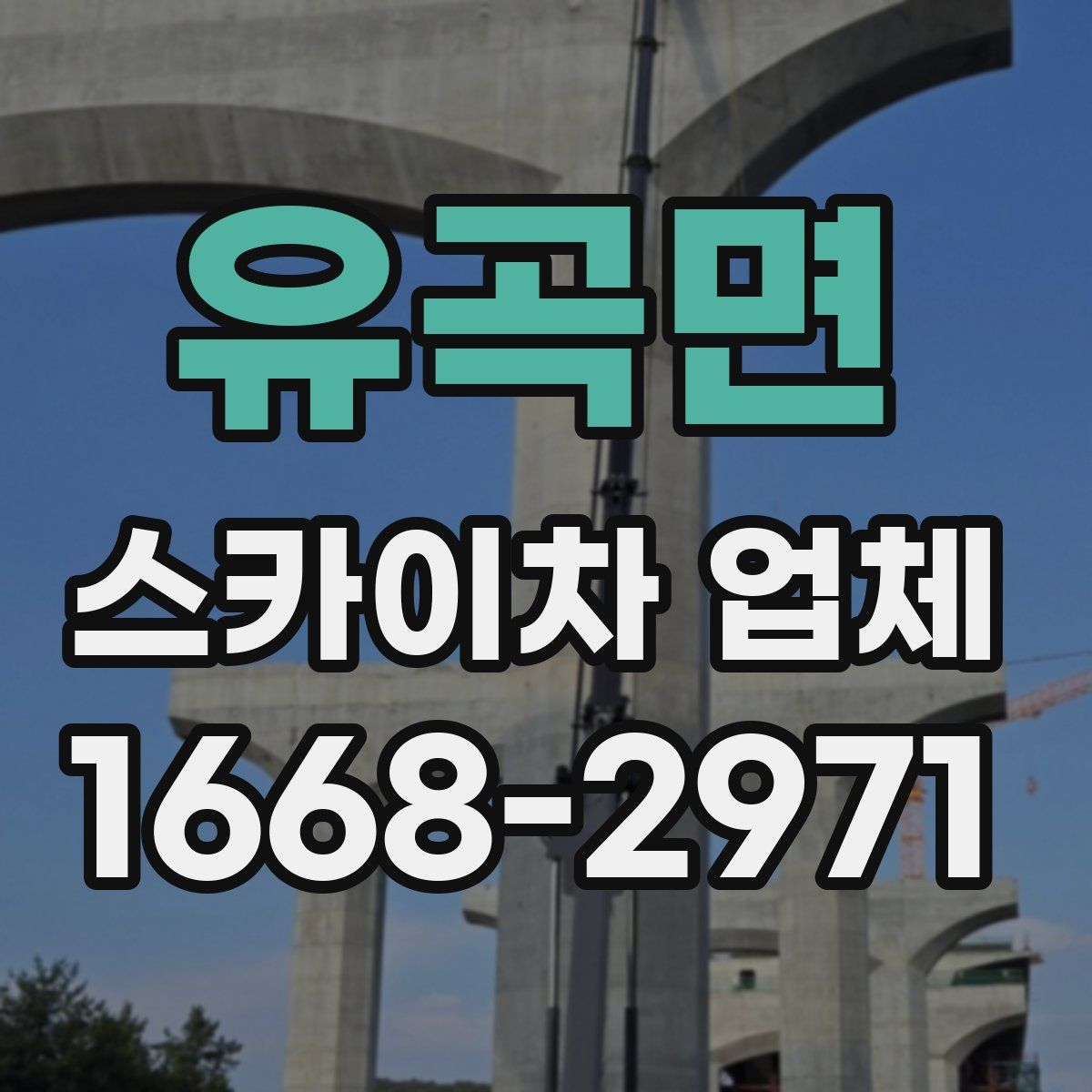 유곡면 스카이차 업체