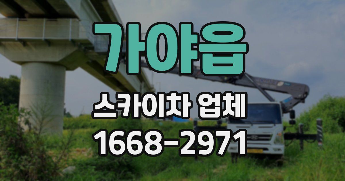 가야읍 스카이차 업체