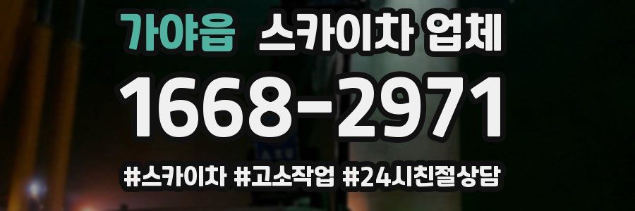 가야읍 스카이차 업체