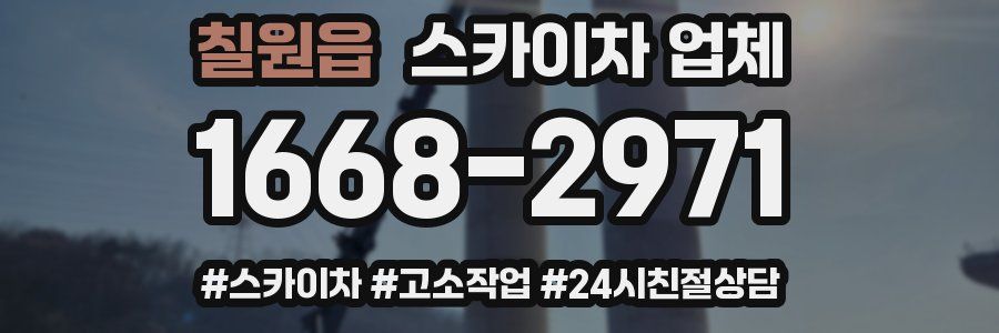 칠원읍 스카이차 업체