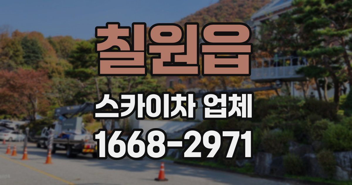 칠원읍 스카이차 업체