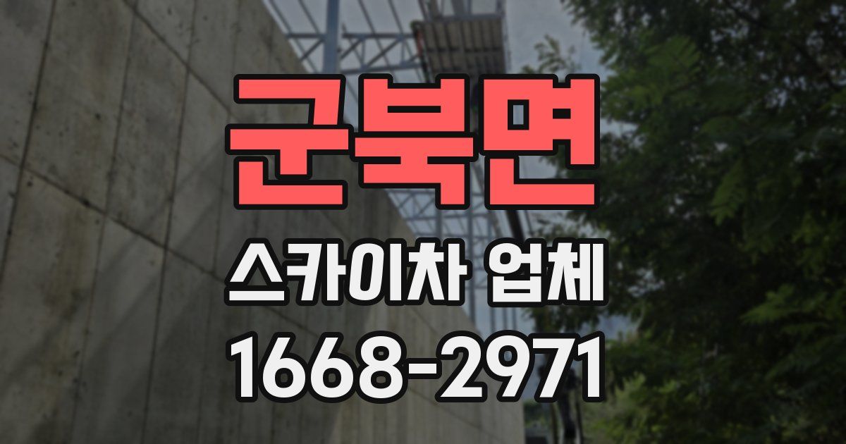 군북면 스카이차 업체