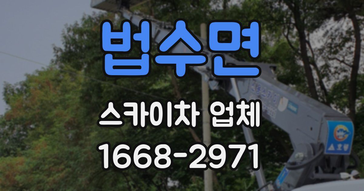 법수면 스카이차 업체