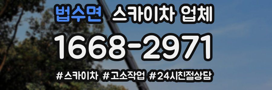법수면 스카이차 업체
