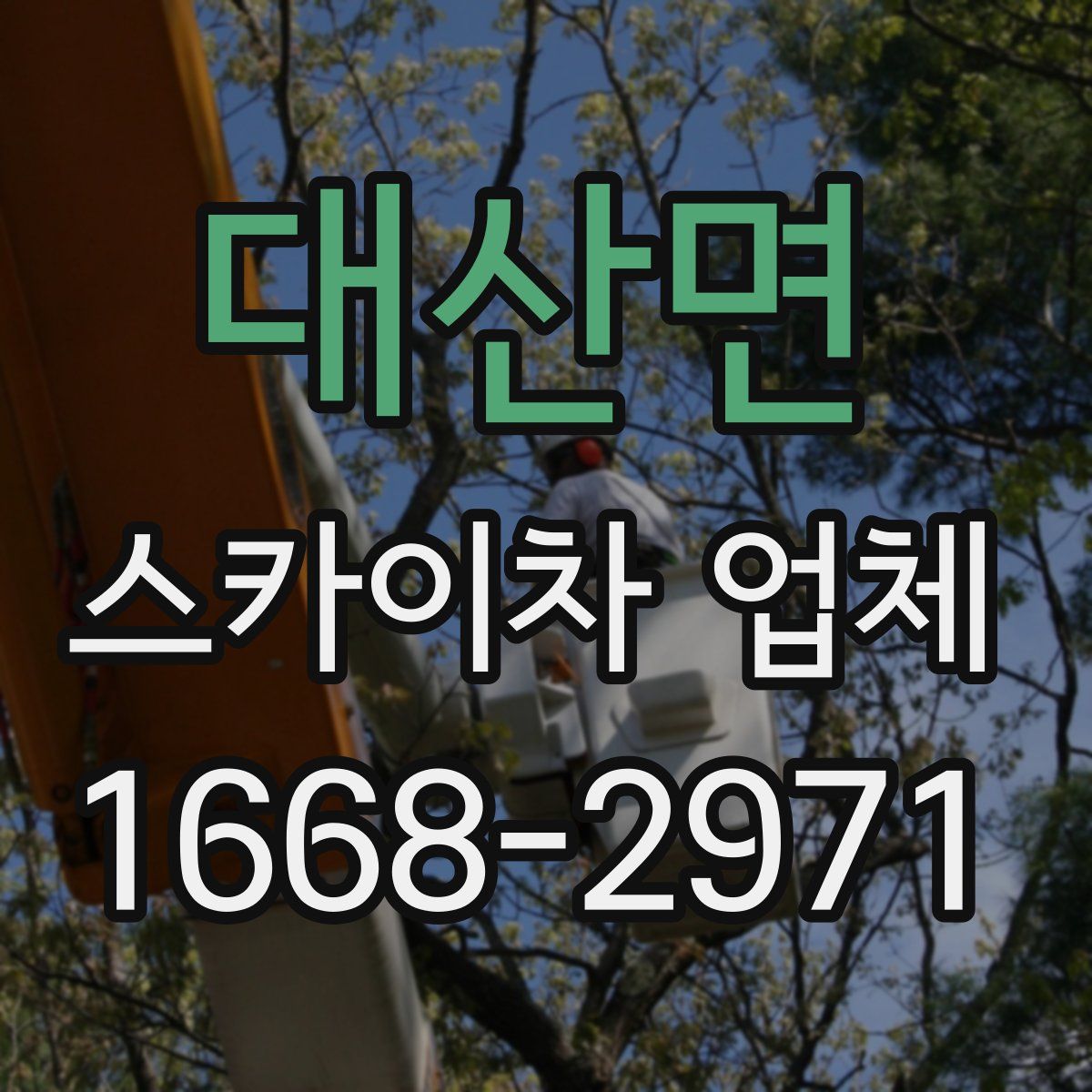 대산면 스카이차 업체