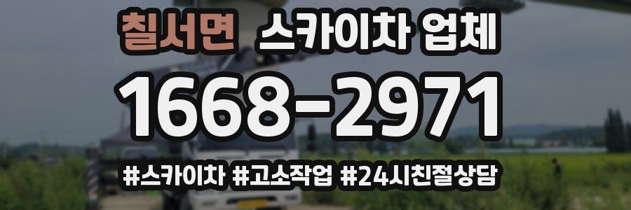 칠서면 스카이차 업체