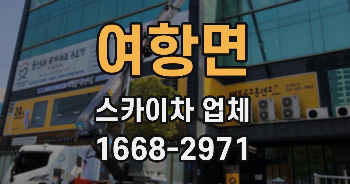 여항면 스카이차 업체
