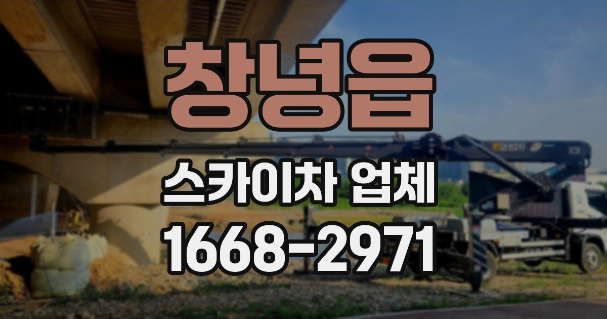 창녕읍 스카이차 업체