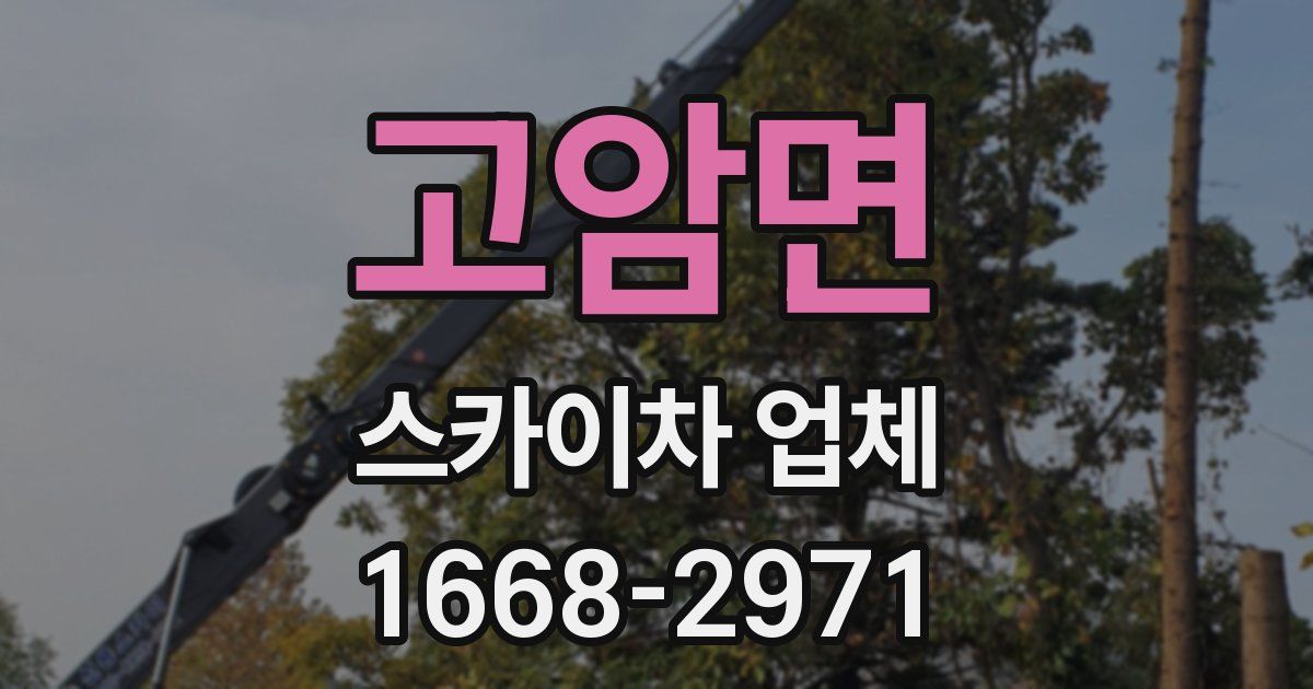 고암면 스카이차 업체