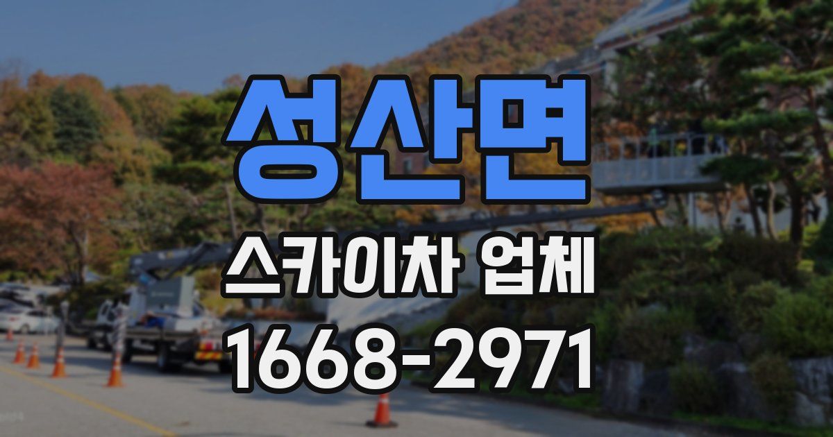 성산면 스카이차 업체