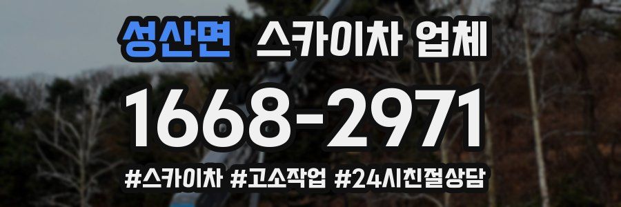 성산면 스카이차 업체