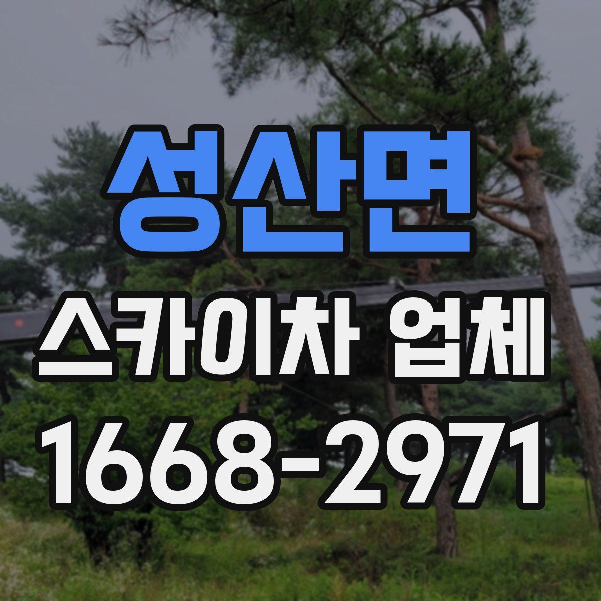 성산면 스카이차 업체