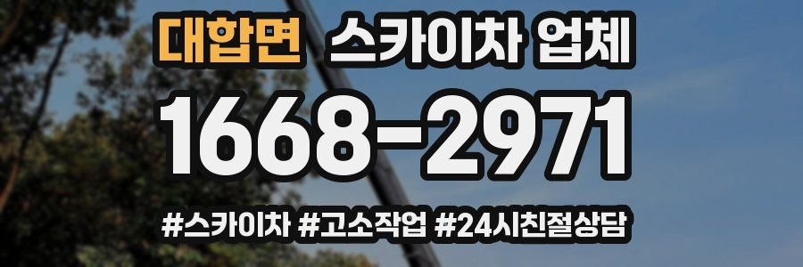 대합면 스카이차 업체