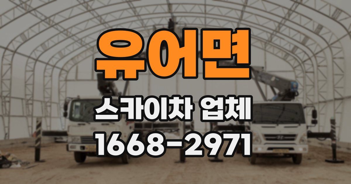 유어면 스카이차 업체