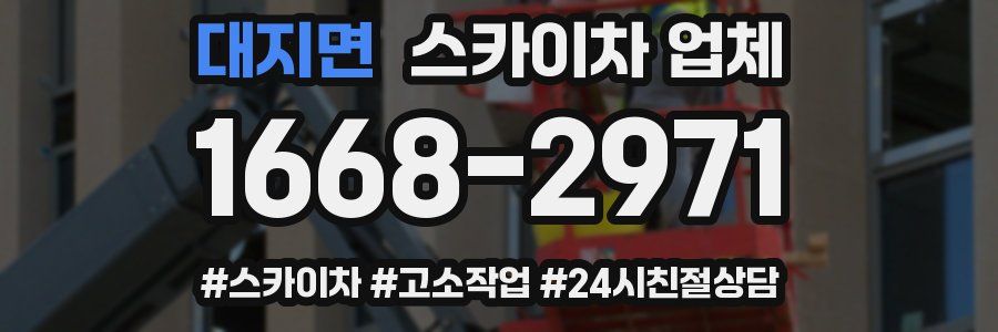 대지면 스카이차 업체