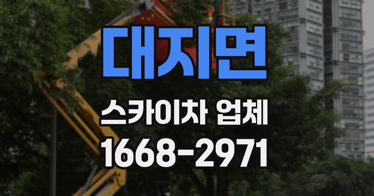 대지면 스카이차 업체